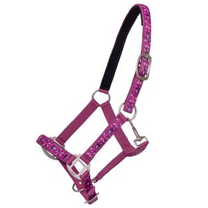 Halter QHP Sterrin Popping