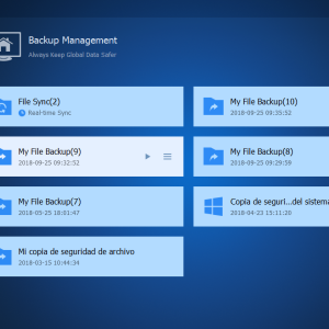 AOMEI Backupper Professional Edition Key (Lifetime / 1 PC)