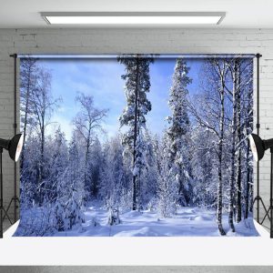 Aperturee After Snow Natural Forest Winter Scenery Backdrop