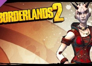 Borderlands 2: Mechromancer Madness Pack Steam Key