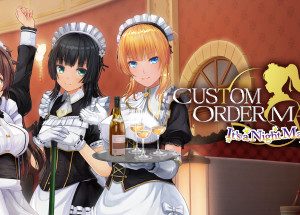 CUSTOM ORDER MAID 3D2 It's a Night Magic Steam Key