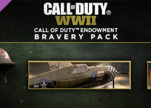 Call of Duty: WWII - Call of Duty Endowment Bravery Pack Steam Key
