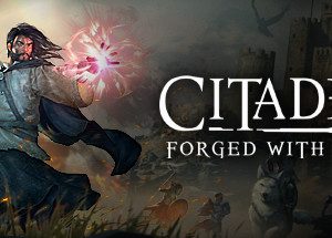 Citadel: Forged with Fire Steam Key