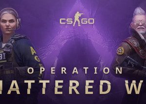 Counter-Strike: Global Offensive Steam Key
