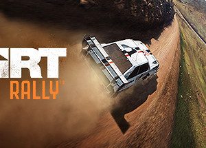 DiRT Rally Steam Key: EU Multi-Language version (region free)