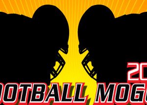 Football Mogul 2014 Steam Key
