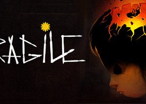 Fragile Steam Key: Europe