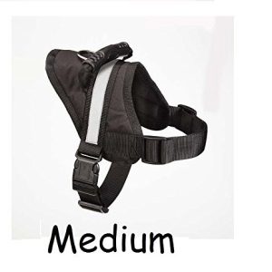 Guardian Gear No Pull Padded Handle Harnesses for Dogs Anti Pull Training Servic