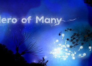 Hero of Many Steam Key