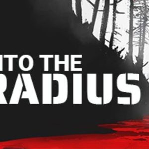 Into the Radius VR EN Global Steam Key