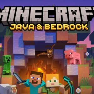 Minecraft Java & Bedrock Edition Deluxe Collection PC Key (Digital Download): AR IN Regional Key