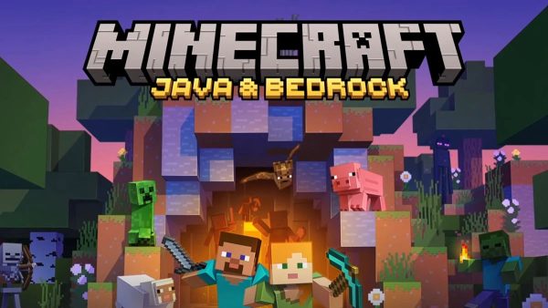 Minecraft Java & Bedrock Edition Deluxe Collection PC Key (Digital Download): AR IN Regional Key