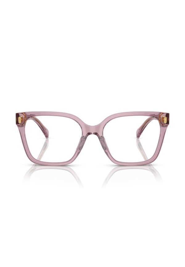 Polo Ralph Lauren 7158U VIEW woman Acetate