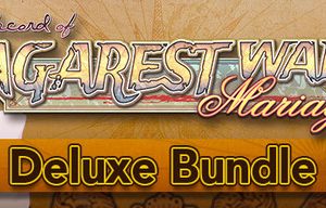 Record of Agarest War Mariage Deluxe Bundle | ??????????? | ????? | ????? Steam Key