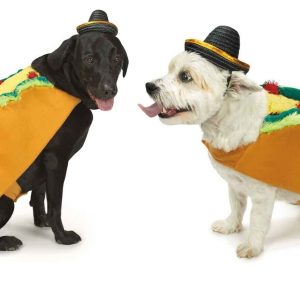 Spicy Tasty Taco and Sombrero Costume for Dogs Food Themed Cute Halloween or Pic