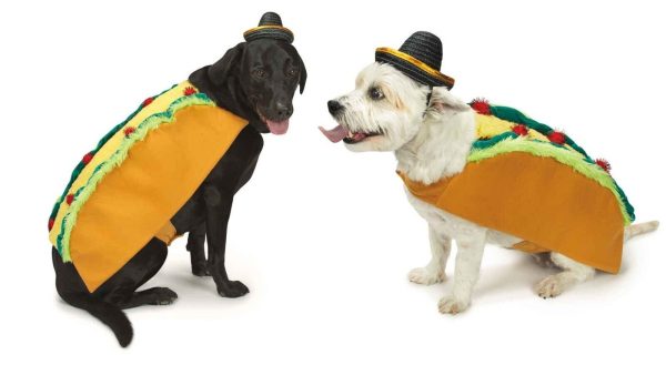 Spicy Tasty Taco and Sombrero Costume for Dogs Food Themed Cute Halloween or Pic