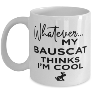 Bauscat Rabbit Lovers Coffee Mug - 11 oz Funny Tea Cup For Friends Office