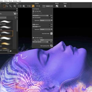 Corel Painter 2023 Key (Lifetime / 2 Devices)