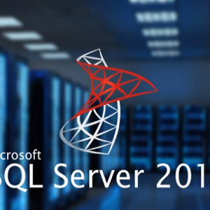 Microsoft SQL Server Standard 2019 Key (Digital Download)