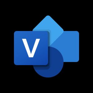 Microsoft Visio Professional 2021 Key (Digital Download)