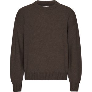 Oversized round-neck sweater Colorful Standard Coffee Brown