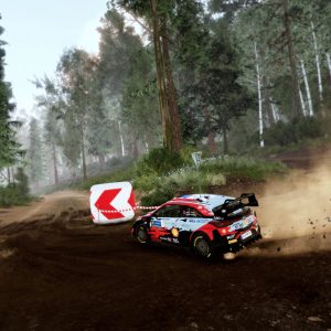 RiMS Racing x WRC 10 Bundle Steam Key