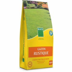 Seeds BHS 20 kg