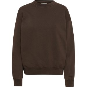 Sweatshirt Crewneck Colorful Standard Organic oversized coffee brown