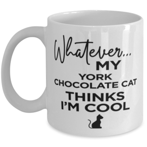 York Chocolate Cat Coffee Mug - Whatever My Cat Thinks I'm Cool - 11 oz Funny