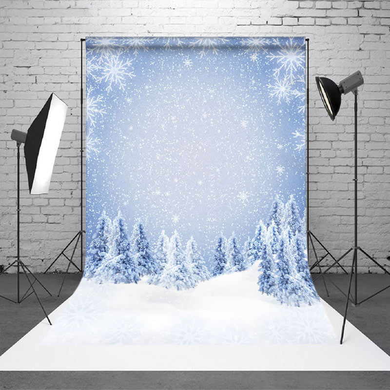 Aperturee Bokeh Silver Snowflake Cedar Winter Sweep Backdrop - Aperturee