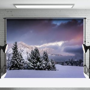 Aperturee Cloudy Sunset Snow Mountain Forest Winter Backdrop