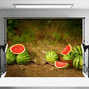 Aperturee Cut Watermelon Wild Field Summer Scenery Backdrop