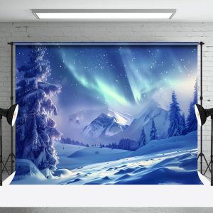 Aperturee Enchanting Winter Night Aurora Borealis Backdrop - Aperturee