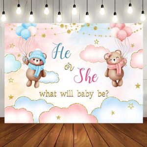 Aperturee He Or She Blue Pink Cloud Bear Gender Reveal Backdrop - Aperturee