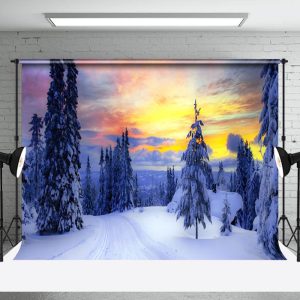 Aperturee Snowy Forest With Radiant Sky Winter Photo Backdrop - Aperturee