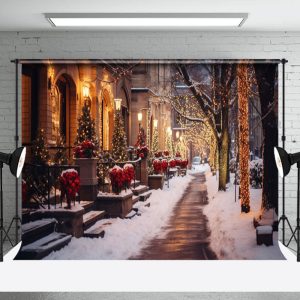 Aperturee Snowy Path Winter Christmas Holiday Vibe Backdrop