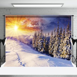 Aperturee Winter Sunrise Snowy Nature Forest Scene Backdrop