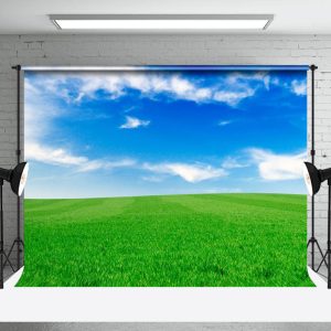 Green Grass And Blue Sky Studio Photography Backdrop - Aperturee