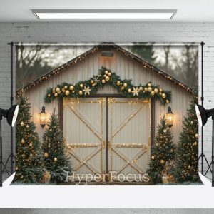 Light Sparke Wooden Door Christmas Photo Backdrop - Aperturee