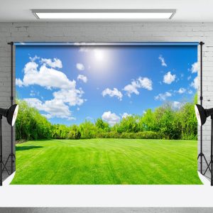 Simple Blue Sky Grassland Natural Scenery Backdrop - Aperturee