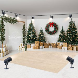 Aperturee Christmas Room Set Backdrop, Interior Studio Background, Holiday Living Room Prop