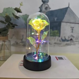 Eternal LED Enchanted Rose Flower
