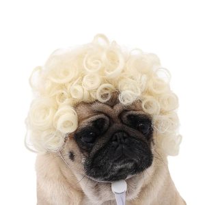 Funny Pet Wig Costume Accessory