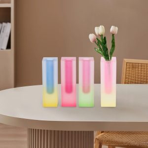 Gradient Color Acrylic Vase for Home Decor, Desktop Flower Vase