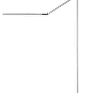 LED Floor Lamp