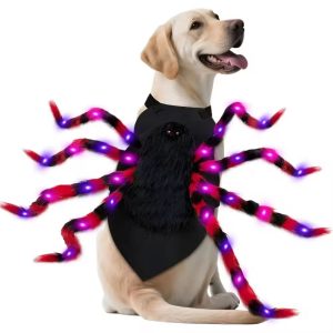 Light-Up dog spider costume with Purple LEDs for Large Dogs