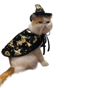 Pet Halloween Costume Cape and Hat for Dogs and Cats