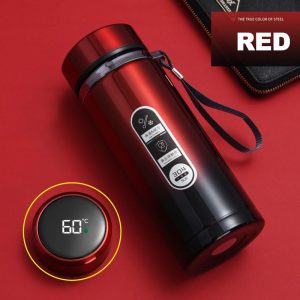 Stainless Steel Thermos Bottle, LED Temperature Display, Vacuum Flask Portable Cups