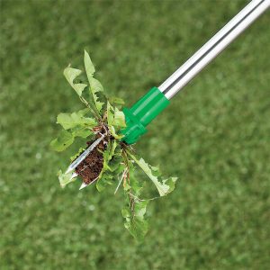 Standing Plant Root Remover Tool