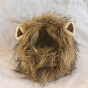 Funny Pets Clothes Hat Cute Cat Wig Lion Mane Costume for Cats & Dogs Cosplay Party Accessories with Ears